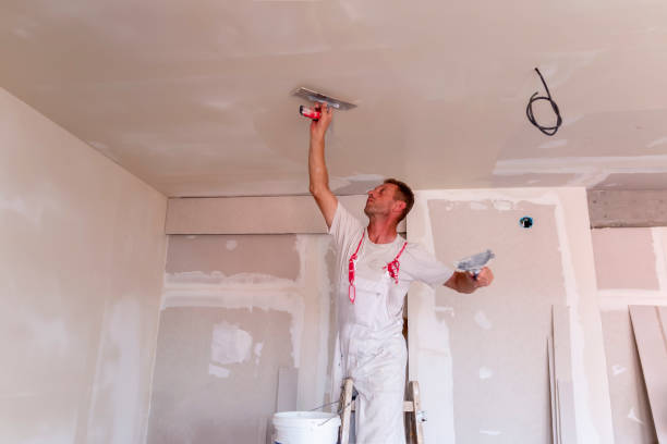 Best Drywall Sanding and Smoothing  in Hanover, PA