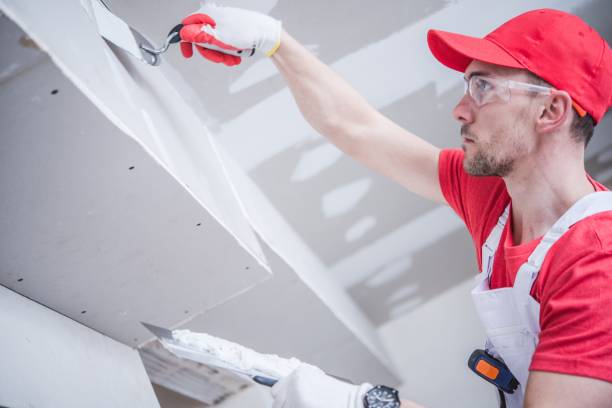 Best Ceiling Drywall Installation  in Hanover, PA